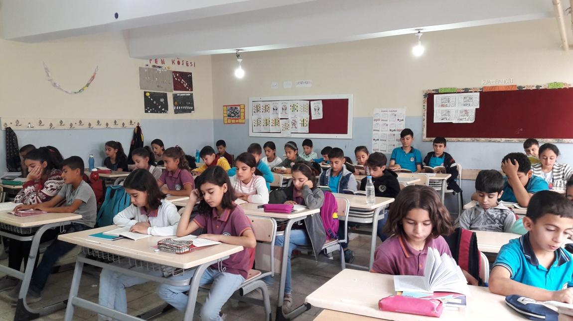 ŞİMDİ OKUMA ZAMANI